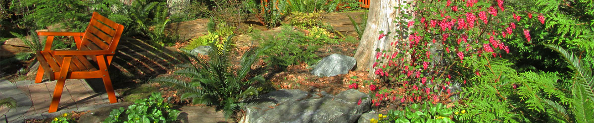 Classic Cedar Garden and Patio Furniture