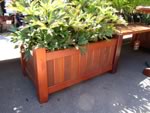 Wide patio planter with plants